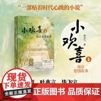 正版书籍]小欢喜2:南京爱情故事 国民爆剧《小欢喜》原著小说续作 方一凡×乔英子官宣南京爱情故事 中信出版社