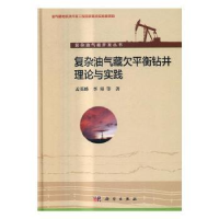 音像复杂油气藏欠平衡钻井理论与实践孟英峰,李皋等著