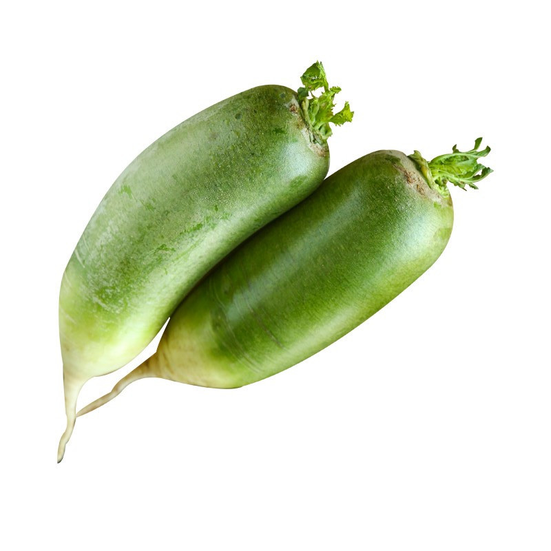 沙窝萝卜 天津正宗水果萝卜 2.5kg 非潍坊潍县 青萝卜绿萝卜