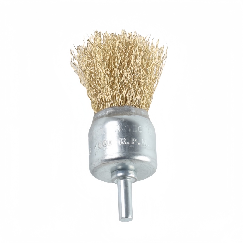 铁洋 钢丝刷 钢丝笔刷 30*6mm 个