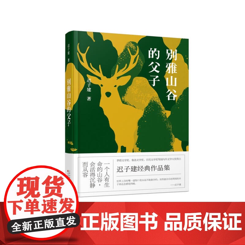 别雅山谷的父子 迟子建 著 一个人有生命的山谷 会活得沉静而从容