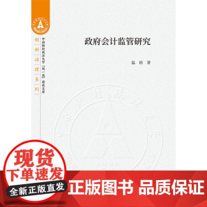 政府会计监管研究