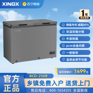 (冰洗)星星(XINGX) 256升榭湖银双温卧式冰柜冰箱冷藏冷冻预涂内胆自动减霜家商两用冷柜 BCD-256R