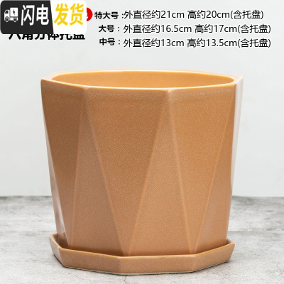 三维工匠大号花盆陶瓷带陶瓷分离托盘简约创意直筒绿萝特大号多肉花盆 八角051杏色 [大号]花盆容器