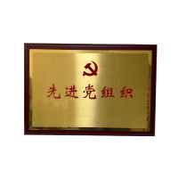 晨洋(CYSM)可定制奖牌 CYBG013 块