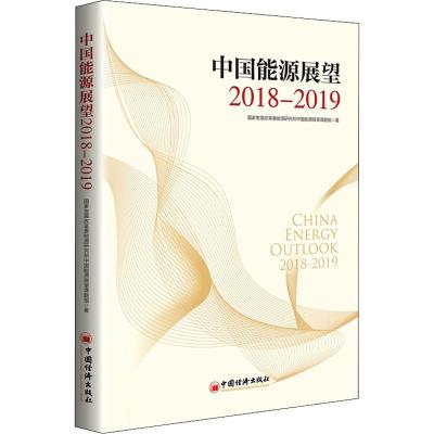 2018-2019中国能源展望