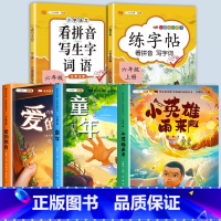 [5本]快乐读书吧6上+看拼音+练字帖 [正版]童年六年级的课外书小英雄雨来爱的教育快乐读书吧上册全套3册小学生课外阅读