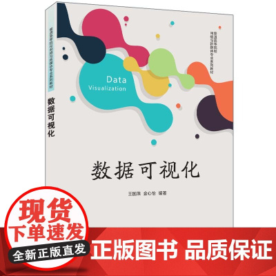 正版新书 数据可视化 王国燕 金心怡 清华大学出版社 可视化 数据可视化