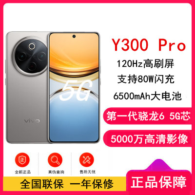 vivo Y300 Pro 钛色 12GB+256GB 骁龙6 5G芯 6500mAh电池 80W充电 5000万高清影像 5G 手机