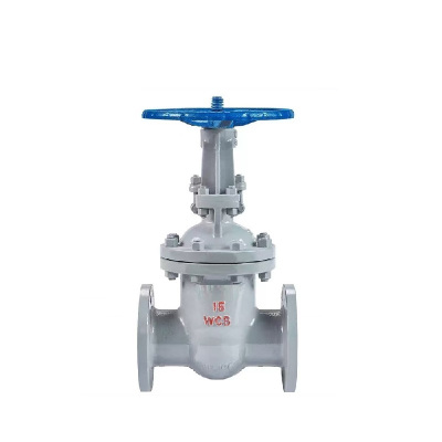 伟鹏双兴 铸钢法兰式闸阀 DN200 台