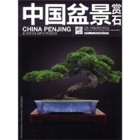 正版新书]中国盆景赏石:2012-11中国盆景艺术家协会 著978750386