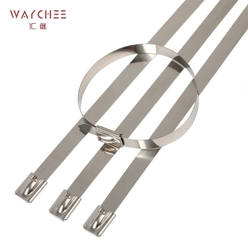 汇继 不锈钢扎带 4.6*150mm/个