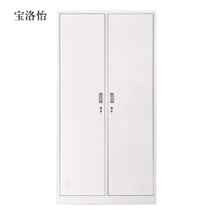 宝洛怡加厚二门钢制更衣柜员工柜铁皮职工储物柜带锁存包柜鞋柜