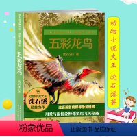 [正版]动物小说大王沈石溪 五彩龙鸟 8-10-12周岁儿童文学三四五六年级小学生7-9-10-12岁 中小学生课外阅