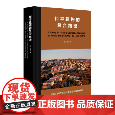 和平建构的复合路径 政治学学术专著 地缘政治 和平与安全战略 暴力冲突治理 精装 华东师范大学出版社