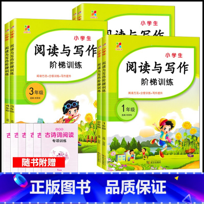 [阅读与写作] 小学一年级 [正版]阅读与写作阶梯训练一二三四五六年级阅读理解强化训练语文课外阅读训练用书语文专项训练