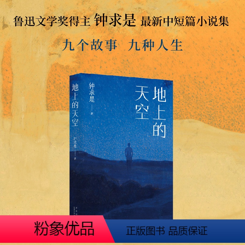 [正版]地上的天空(鲁迅文学奖得主钟求是ZUI新中短篇小说集,人生九故事,程永新、徐则臣、班宇)
