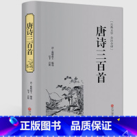 [正版]精装全译.唐诗三百首精装全解中国古诗词全宋词鉴赏词典辞典赏析唐诗宋词选集配宋词三百首华好诗词诗经诗词书籍