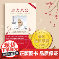 正版 忠犬八公 魔法象绘本故事童书 6-8-12岁儿童文学 一二三3456年级小学生 课外阅读绘本书籍 帕梅拉著 温暖感