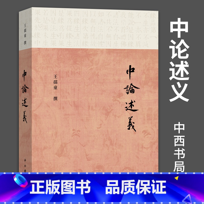 [正版]中论述义 王孺童撰分析回归佛典本义佛教书籍认识宗教哲学佛教经典中论广释全面解读阐释中论百论十二门论佛学述义专著