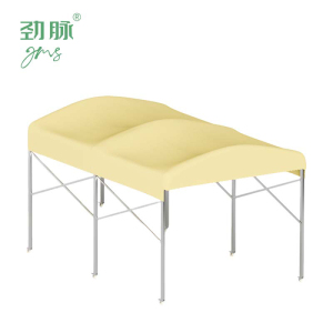 劲脉 户外伸缩帐篷 8*3*2.5M 顶