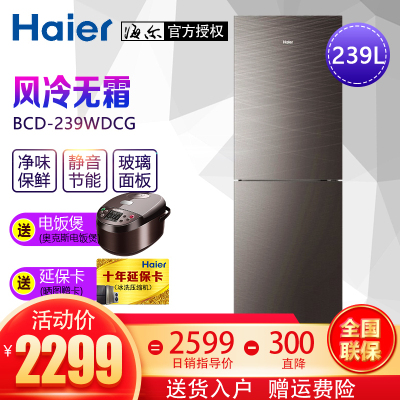 海尔（Haier）冰箱两门节能家用电冰箱239升风冷无霜节能冰箱BCD-239WDCG