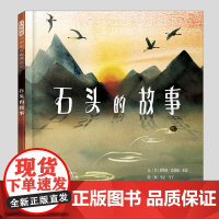 石头的故事(正版硬壳精装)美国青少年科普图书奖儿童绘本3三-4-5到6岁以上幼儿园大中小班宝宝孩子早教阅读睡前启蒙故事图