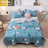 棉夏被单双人学生宿舍空调被夏天棉薄被子春秋夏凉被芯可机洗 三维工匠