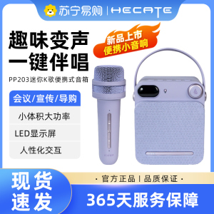 EDIFIER/漫步者PP203家用蓝牙音箱无线k歌音响话筒麦克风户外唱歌小型便携ktv 浅紫色
