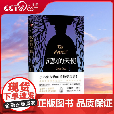 [央视网]沉默的天使 美国有名小说家卡勒•卡尔的长篇侦探小说 讲述了一个以精神病医师为主导的团队侦破连环杀人案件的故事X