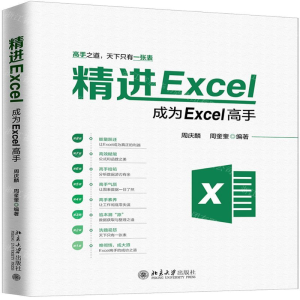 [N]精进Excel(成为Excel高手)-9787301306390