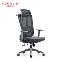 盛松林 办公椅 899-2 个