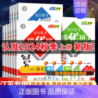 数学•苏教版 二年级下 [正版]2024秋亮点给力提优班多维互动空间二年级下册三年级语文数学人教四年级下册五六上册英语苏