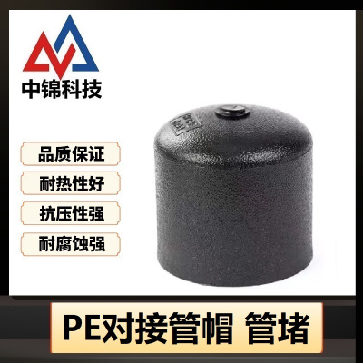 中锦科技 PE对接堵头 PE125(承压1.6Mpa)个