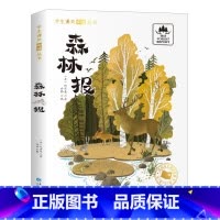 [彩色图案注音版]森林报 [正版]国际大奖小说注音版全套10册 一年级阅读课外书阅读二三年级课外阅读书籍故事书老师系列昆