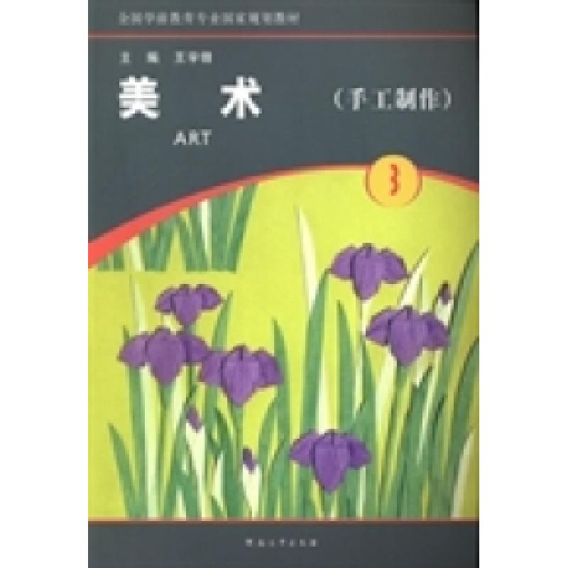 正版新书]美术:第3册:手工制作王宇锋9787564912307