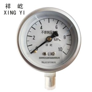祥屹+不锈钢压力表检测定制型+Y60BF +块