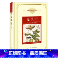 飘[全两册] [正版]世界文学名著名译典藏 全译插图本 大卫科波菲尔飘猎人笔记基督山伯爵现当代文学名著书籍排行榜高初中生