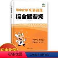 化学综合题专项 初中通用 [正版]初中物理专项训练电学专项力学化学数学代数几何计算题选择题解答题语文病句 初中必刷题库8