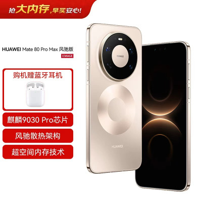 华为 HUAWEI Mate 80 Pro Max 风驰版 16GB+512GB 极昼金