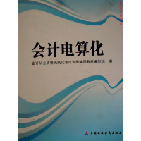 正版新书]会计电算化会计从业资格无纸化考试专用辅导教材编写组