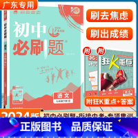语文 人教版-广东专用 [正版]2024版初中七年级下册语文人教版初一7年级RJ课文复习资料初中同步练习册七下辅导资料资