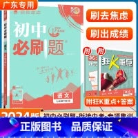 语文 人教版-广东专用 [正版]2024版初中七年级下册语文人教版初一7年级RJ课文复习资料初中同步练习册七下辅导资料资