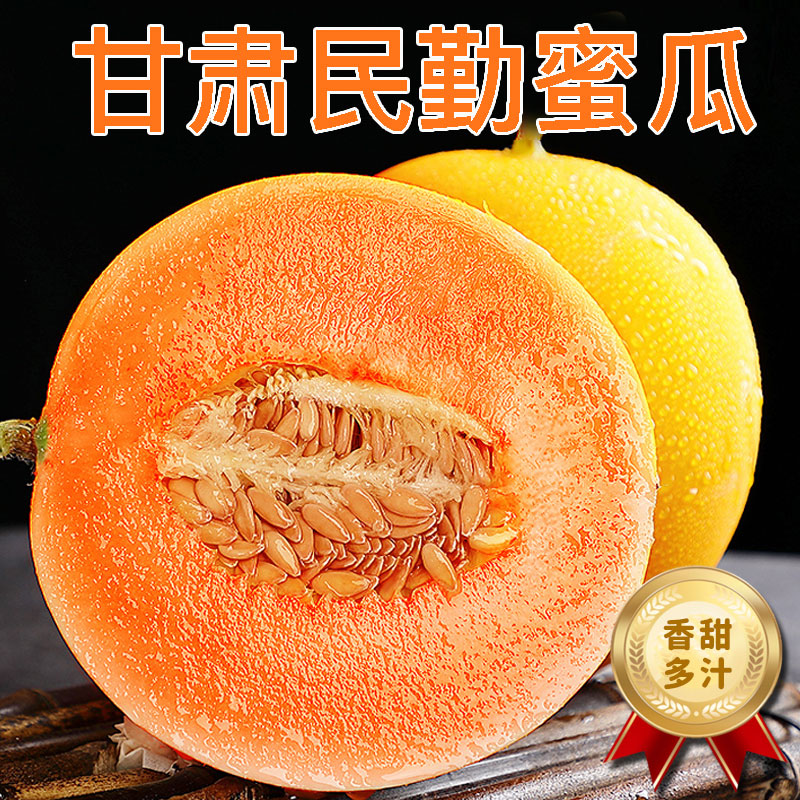 [西沛生鲜] 甘肃民勤蜜瓜 净重4.5-5斤 1-2个装香甜可口 新鲜水果应季金红宝国产 甜瓜