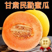 顺丰快递 [西沛生鲜] 甘肃民勤蜜瓜 净重4.5-5斤 1-2个装香甜可口 新鲜水果应季金红宝国产 甜瓜
