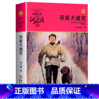 导盲犬迪克 [正版]沈石溪动物小说品藏书系列全集36册 斑羚飞渡第七条猎狗后一头战象雪豹悲歌珍藏版全套画本生肖