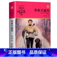 导盲犬迪克 [正版]沈石溪动物小说品藏书系列全集36册 斑羚飞渡第七条猎狗后一头战象雪豹悲歌珍藏版全套画本生肖