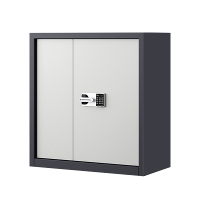 风雷动指纹电子保密柜钢制密码文件柜档案柜矮柜保密资料柜办公柜 单节灰白:国保锁