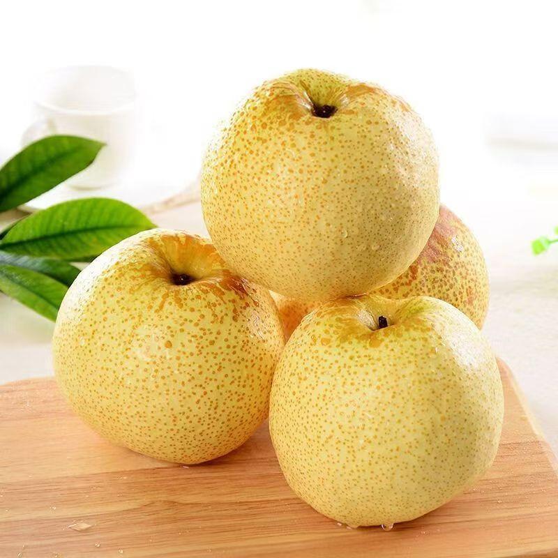 [西沛生鲜]新鲜云南雪花梨 3斤 中果 单果150-200g 应当季整箱翠冠梨香酥雪梨青皮皇冠