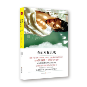 正版新书]我的对称灵魂艾德丽安·斯德奥兹9787541137891
